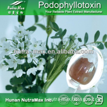 High Quality/Factory Supply Natural Podophyllum Resin Extract Powder 50% 98%Podophyllotoxin